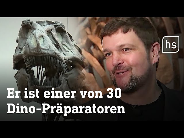 Was macht eigentlich ein Dinosaurier-Präparator? | hessenschau