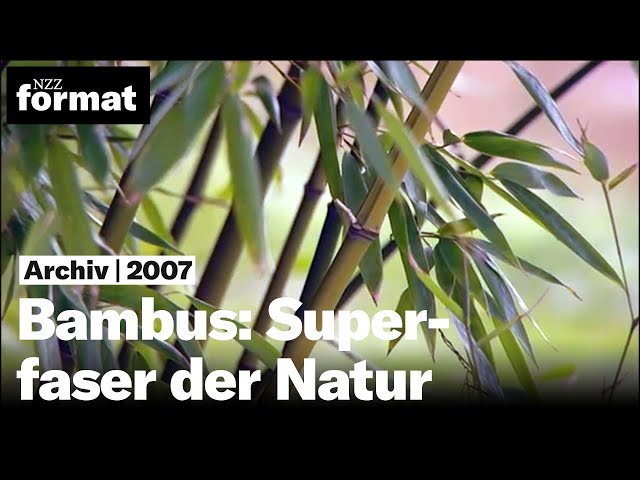 Bambus: Superfaser der Natur - Dokumentation von NZZ Format (2007)