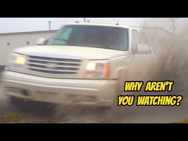 NOBODY IS WATCHING this video, even though it's EXACTLY what you wanted (Cheap Cars)