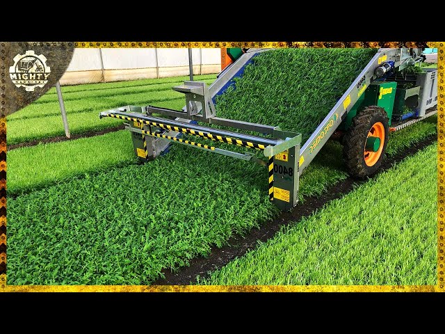 Impressive And Powerful Agriculture Machines That Are On Another Level