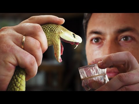 How Horses Save Humans From Snake Bites
