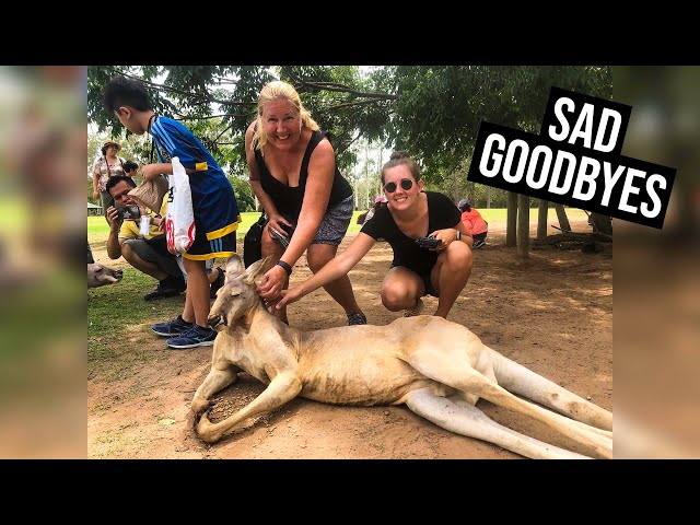 Time to Say Goodbye | Lone Pine Sanctuary and Brisbane River Walk