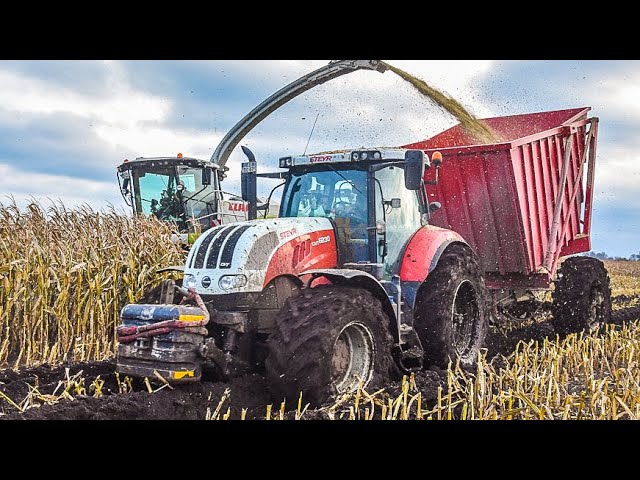 Claas Jaguar harvester needs help in the mud! Chopping maize | Tractors in action