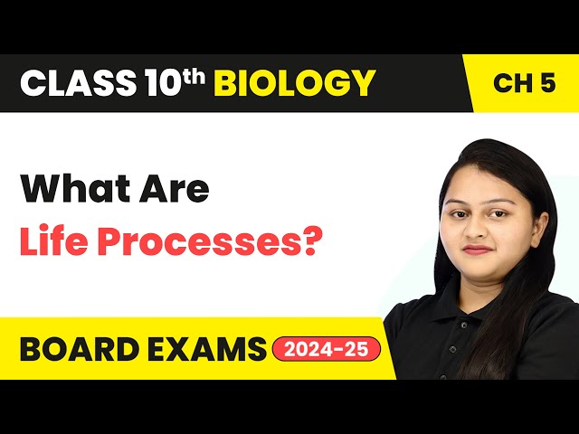 What Are Life Processes? - Life Processes | Class 10 Biology Chapter 5 | CBSE 2024-25