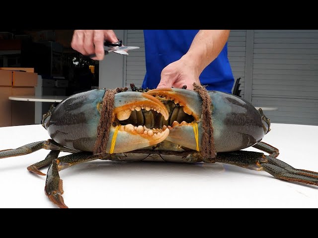 Giant chilli crab, Singapore food