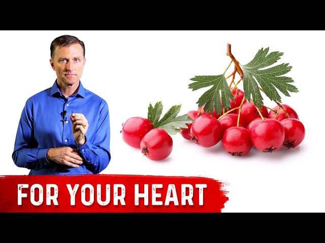 The Benefits of Hawthorn Berry
