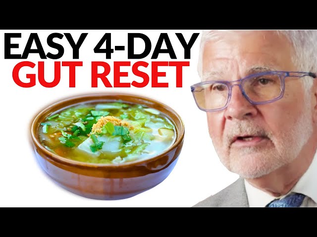 The Ultimate 4-Day Gut Health Reset | Dr. Steven Gundry