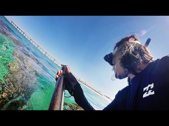 The Spearfishing Adventures Begin Again - Beer Batter Cook Up