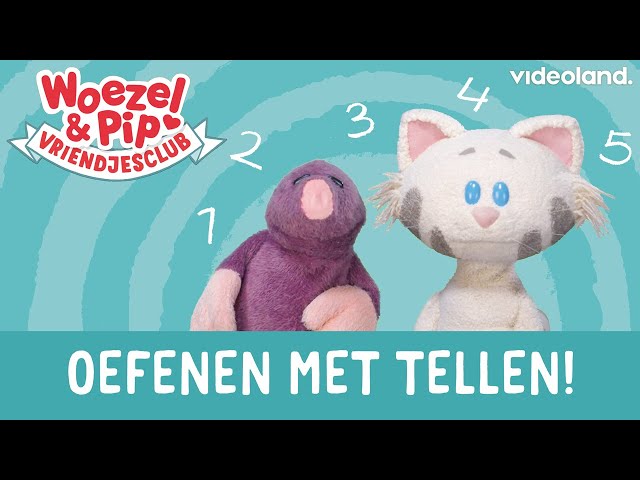Woezel & Pip Vriendjesclub - Molletje en Buurpoes oefenen met tellen 🦔🐝