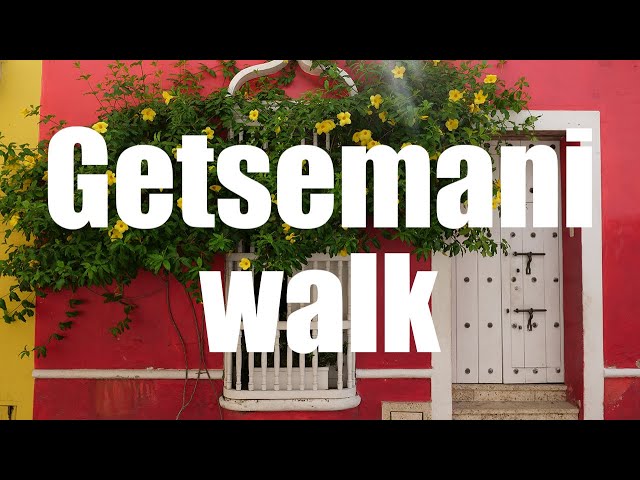 Getsemani walking tour, Cartagena, Colombia - 4K UHD - Virtual Trip