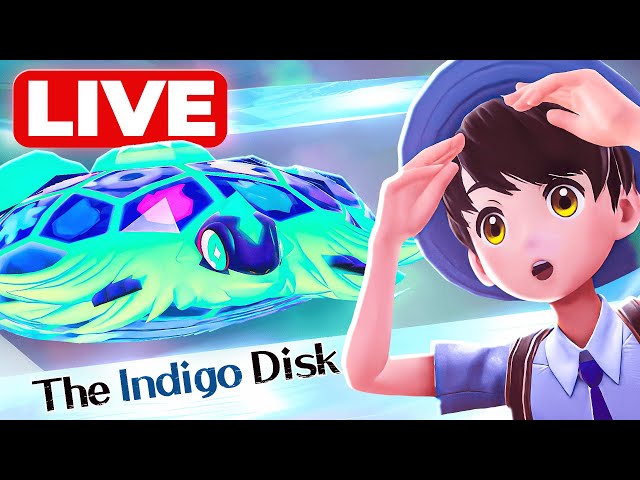 Indigo Disk Main Story!