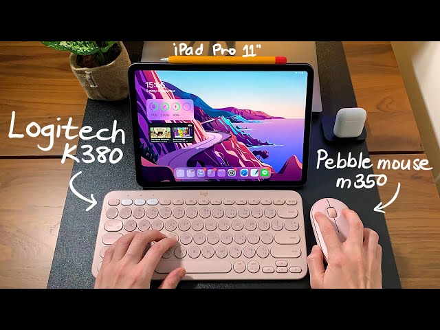 Pink Logitech K380 & M350 Pebble mouse on iPad Pro 11”