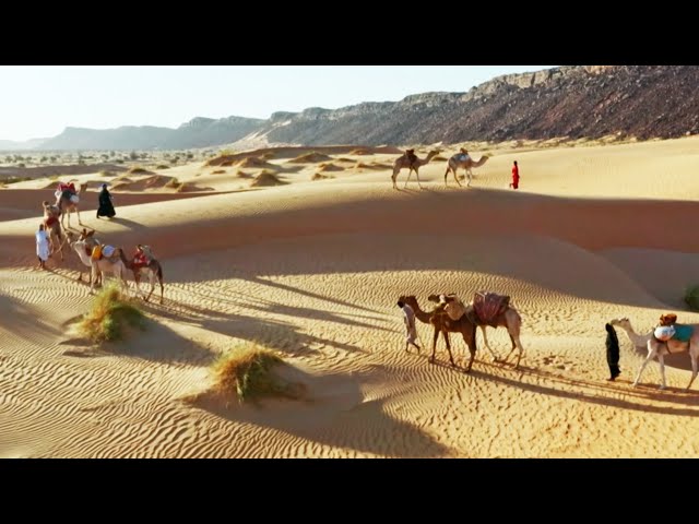 Mauritania: Where The Sahara Desert Meets Ocean