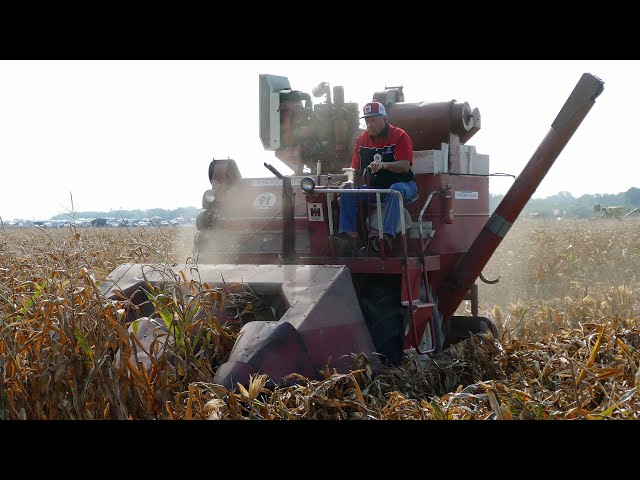 Vintage Combine Corn Harvest at Half Century of Progress Show 2023 - Full Video