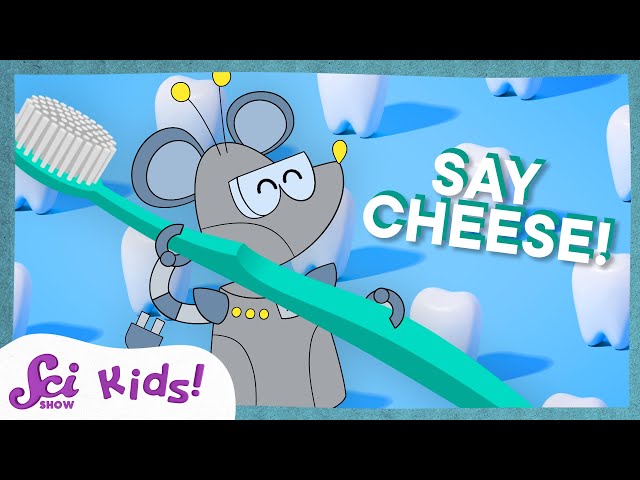 All About Teeth! | SciShow Kids Compilation