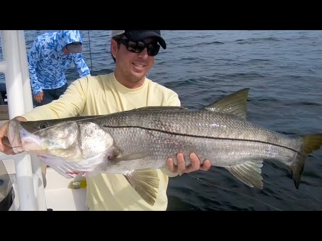 How To Catch BIG Snook & Tarpon On Nearshore Reefs