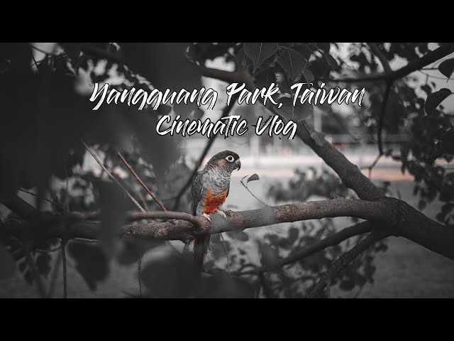 YangGuang Park, Taiwan |Cinematic Vlog Shot on Iphone11 | By MyanmarYouTuber ZLN