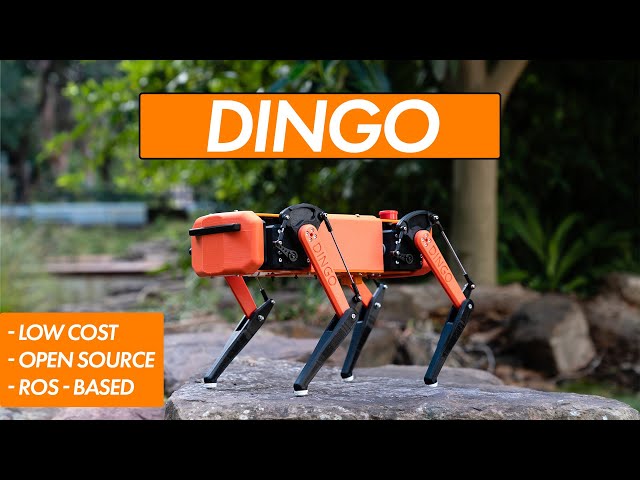 The Dingo | A Low Cost, Open-Source Robot Quadruped