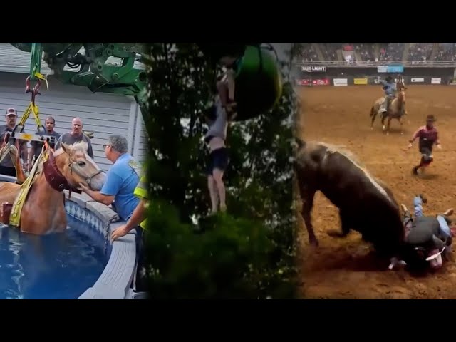 Heart- Stopping Rescues Livestream I Daring Rescues That Turned Everyday People Into Heroes