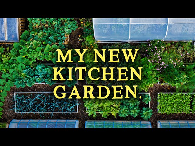 The Self-Sufficiency Garden | 580kg/1300Ibs+ of Food in 10 Months