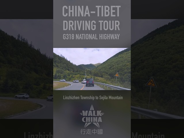 Tibet China Highway Scenery - Linzhizhen to Sejila Mountain #driving #tibet #highway #china #highway