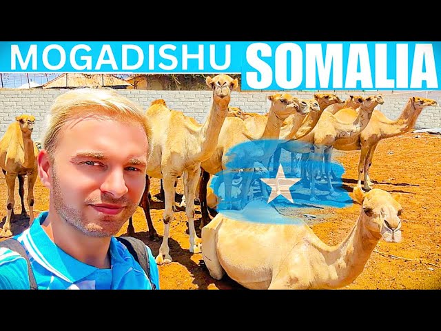 $1,500 Camel & Shopping in Mogadishu 🇸🇴 (Somalia 2024)