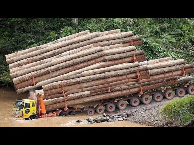 Wow !!! Extremely Dangerous Fastest Idiost Logging Wood Truck Operator | Heavy Equipment Machines.
