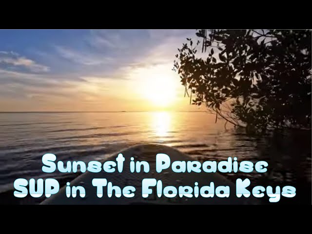 🏝️ A Relaxing Paddle cruise in the Florida Keys 🌴