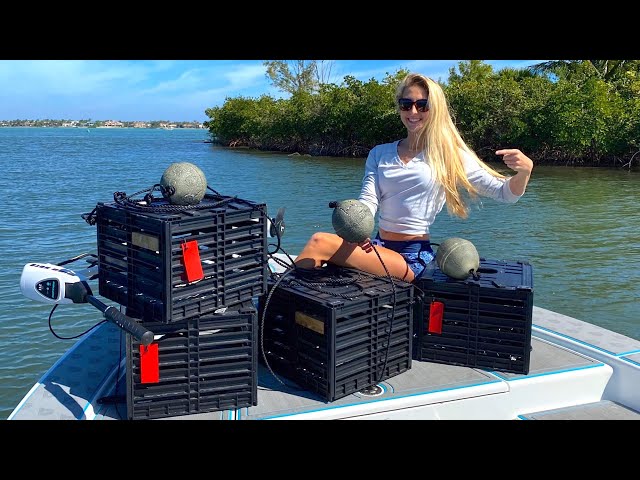 HOW TO Build Stone Crab Traps! *Everything You Need To Know*