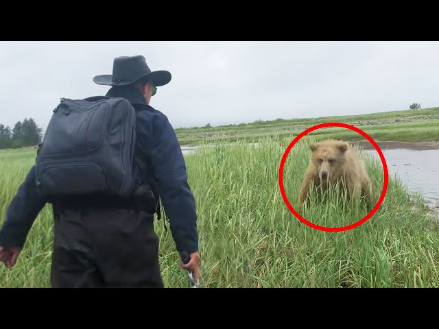 6 Bear Encounters You Shouldn't Watch Alone