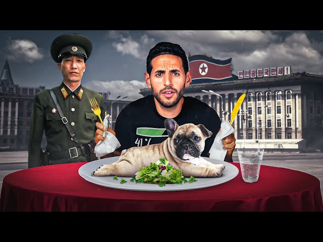 Why I ate a dog in North Korea