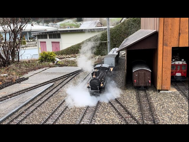 Live Steam Locomotives on a Garden Railroad