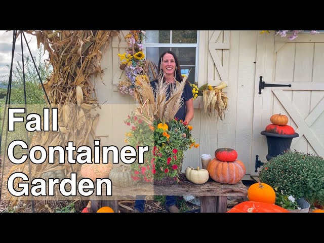 Converting Summer Container Garden To Autumn | PepperHarrow