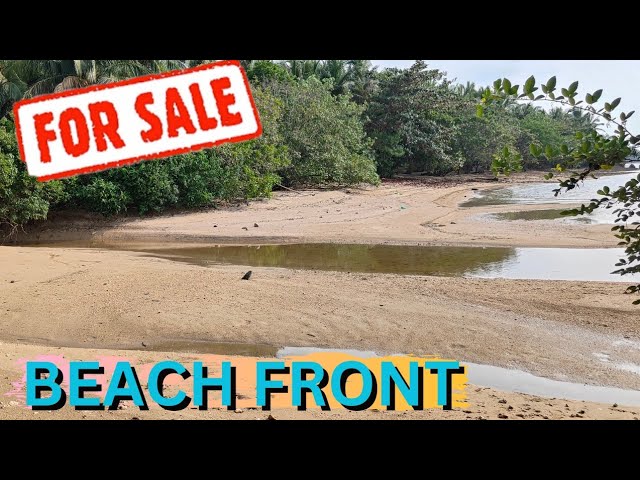#61 🌊🏖️ Beach front for sale  / white Sand Beach for sale in Philippines