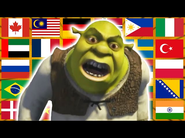 "What are you doing in my swamp" in different languages meme