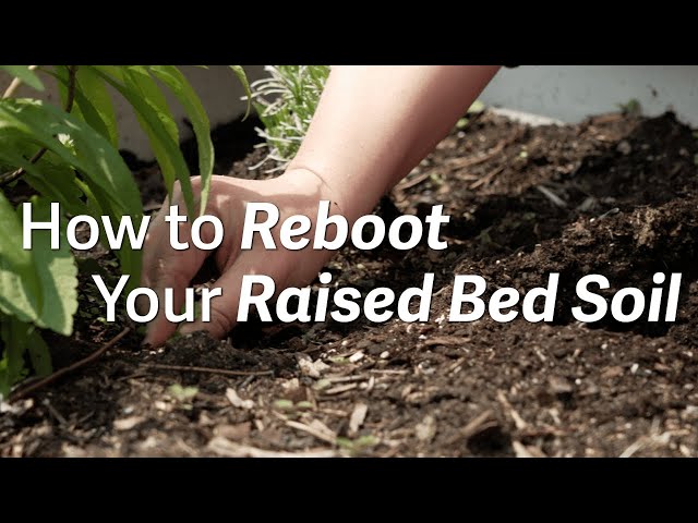 Raised Bed Soils