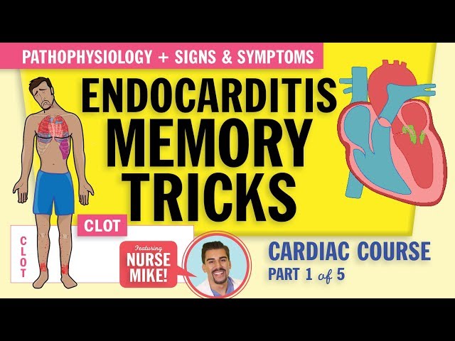 Endocarditis Pathophysiology, signs and symptoms for nursing students   NCLEX review