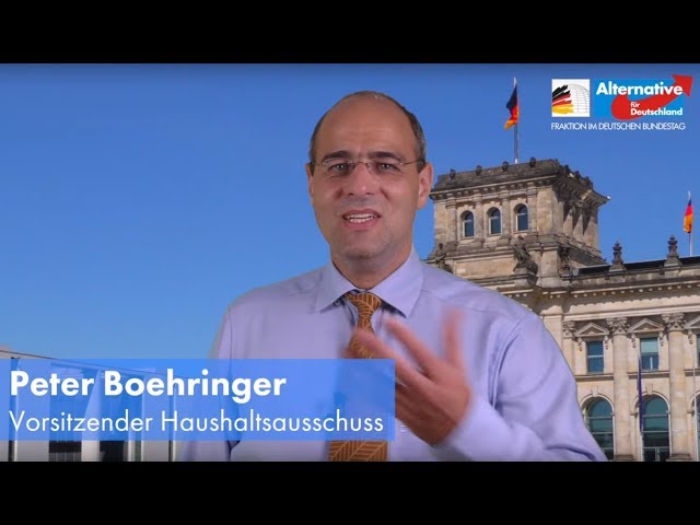 Boehringer: "Ideologie raus - Realität rein" Kommentierung zum Bundeshaushalt │ AfD 28.06.2018