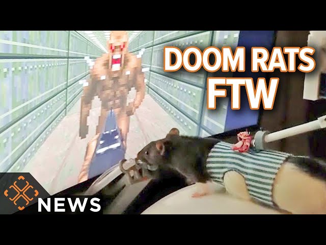 A Neural Engineer Taught Rats to Play Doom 2