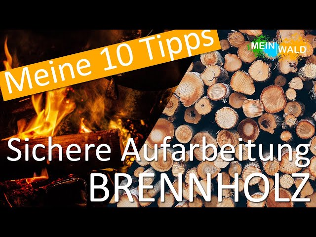 10 Tipps um Brennholz sicher aufzuarbeiten 🪵🪚 TOP-Liste