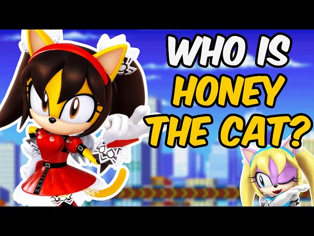 The Honey the Cat Story ▸ A Character Saved By The Fans