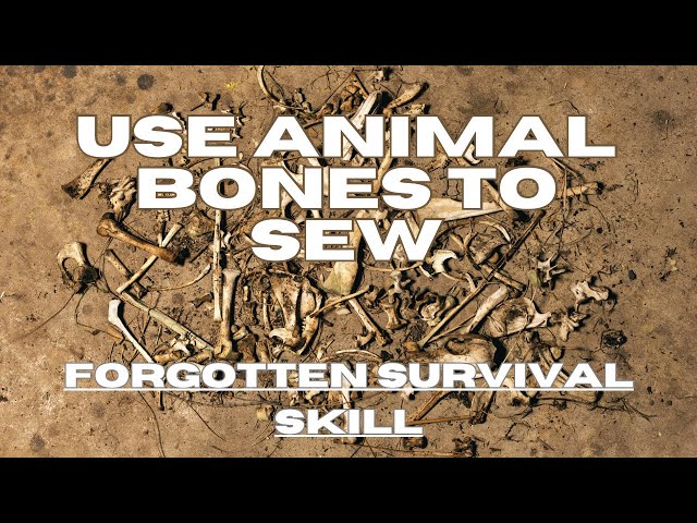 FORGOTTEN Survival and Bushcraft Skills - Simple Sewing #bushcraft #survival #knifeskills #diy