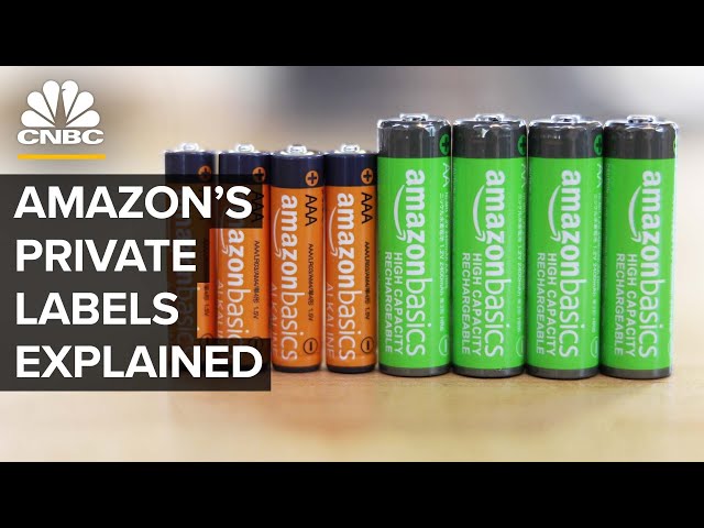 The Big, Secretive Business Of Amazon’s 100+ Private-Label Brands