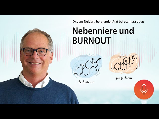 09 Nebenniere und Burnout