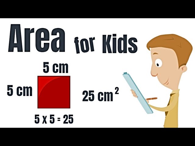 Area for Kids