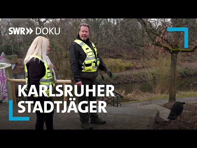 Wildtiere in der Großstadt - Die Karlsruher Stadtjäger | SWR Doku