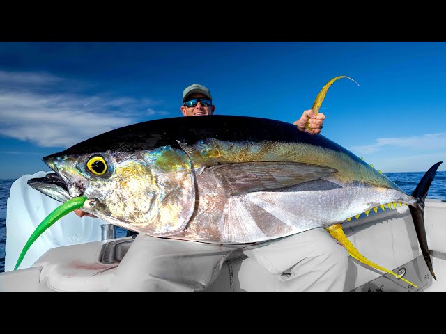 MASSIVE Yellowfin Tuna....Catch Clean Cook!
