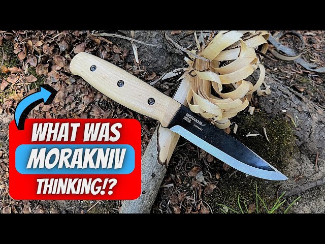 Testing The Most $$$ Expensive Mora In The World!