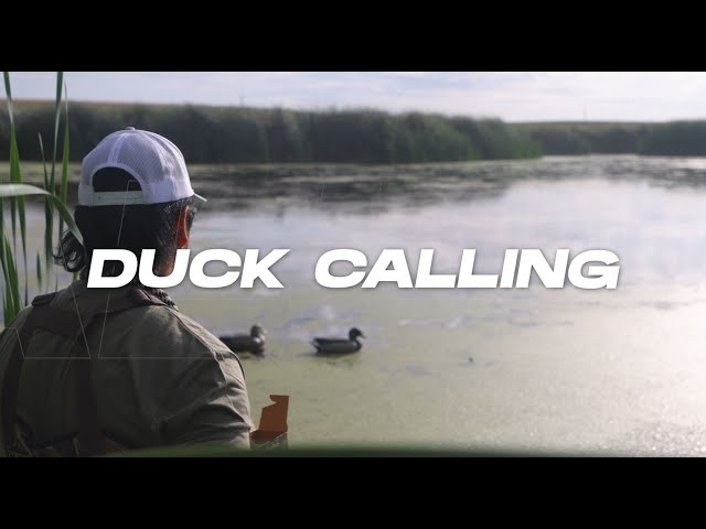 Duck Calling Scenarios