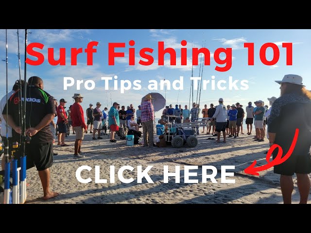 How to Surf Fish: Learn Surf Fishing from Local Surf Fishing Guides. Powerful DIY Surf Fishing Tips